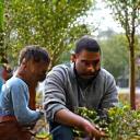 Community members planting trees in a park